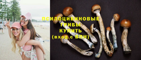 дживик Корсаков