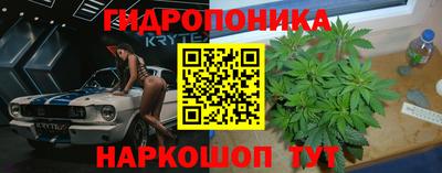 ALPHA-PVP Кандалакша