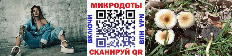 Галлюциногенные грибы мухоморы  Мелеуз 