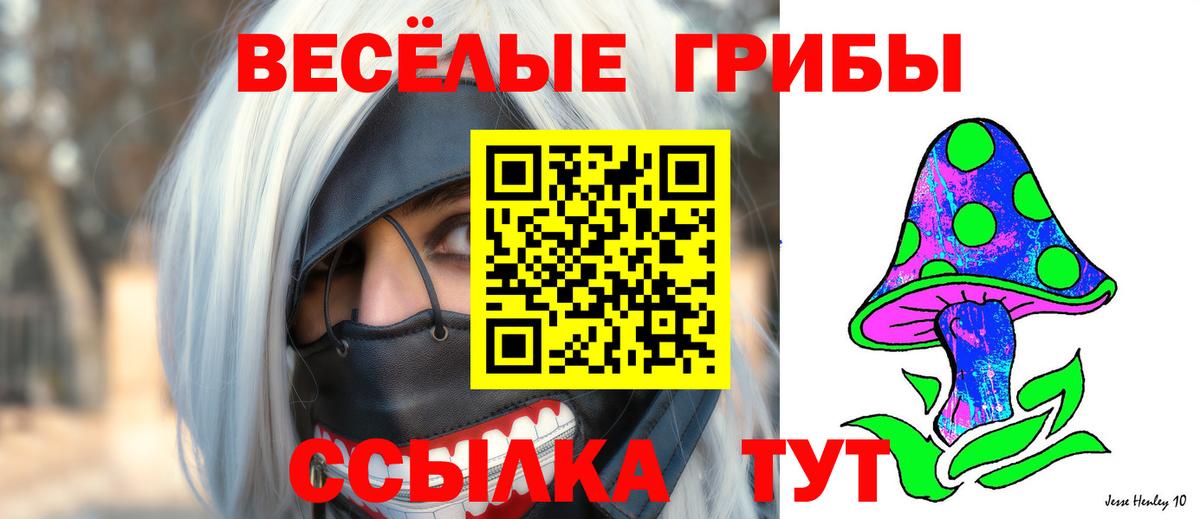 Псилоцибиновые грибы Cubensis Мелеуз
